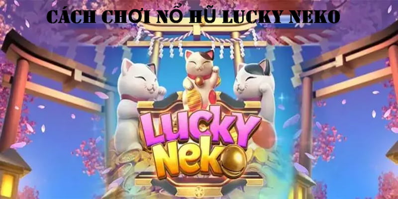 Quy tắc chơi Lucky Neko Slot cần nhớ